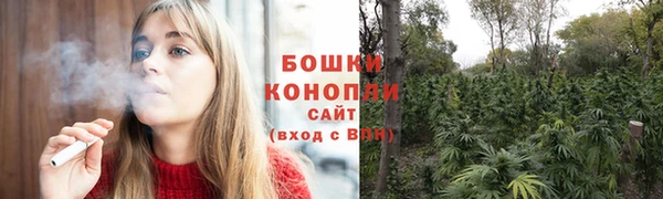 ПСИЛОЦИБИНОВЫЕ ГРИБЫ Баксан