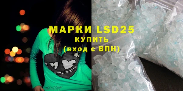 ПСИЛОЦИБИНОВЫЕ ГРИБЫ Баксан