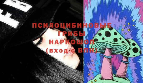 крисы Балахна
