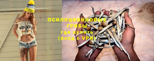 ПСИЛОЦИБИНОВЫЕ ГРИБЫ Баксан