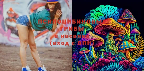 крисы Балахна